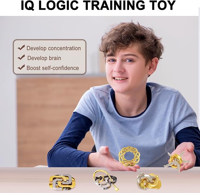 Brain Teaser Puzzles for Adults (6 PCS Metal B)