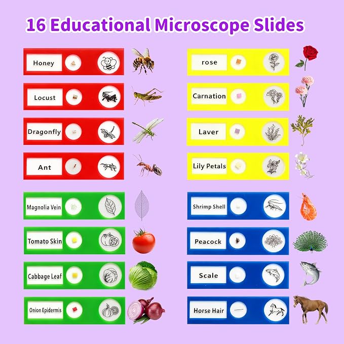 BLACKROOT Microscope for Kids, 2.4" Handheld Digital Pocket Microscope | STEM Educational Science Toys for New Year, Birthday Gifts for 3+ 4 5 6 7 8 9 10 11 12 Year Old Boys Girls, Purple