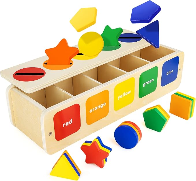 Lynncare Wooden Montessori Color & Shape Sorting Matching Toy | Coming with 25 blocks,1 box and 20 challenge cards,Montessori Toys for 1 2 Year Old,learning toys for toddlers 1-3