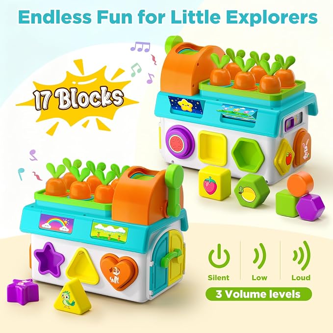 Learning Toys for 1,2 Year Old Girl Boy Gifts, Montessori Shape Sorting Toys for Toddler 1-3 Age, Musical Educational Baby Toy 12-18 Month, Christmas Birthday Gift for 1-2 Year Old Girl Boy