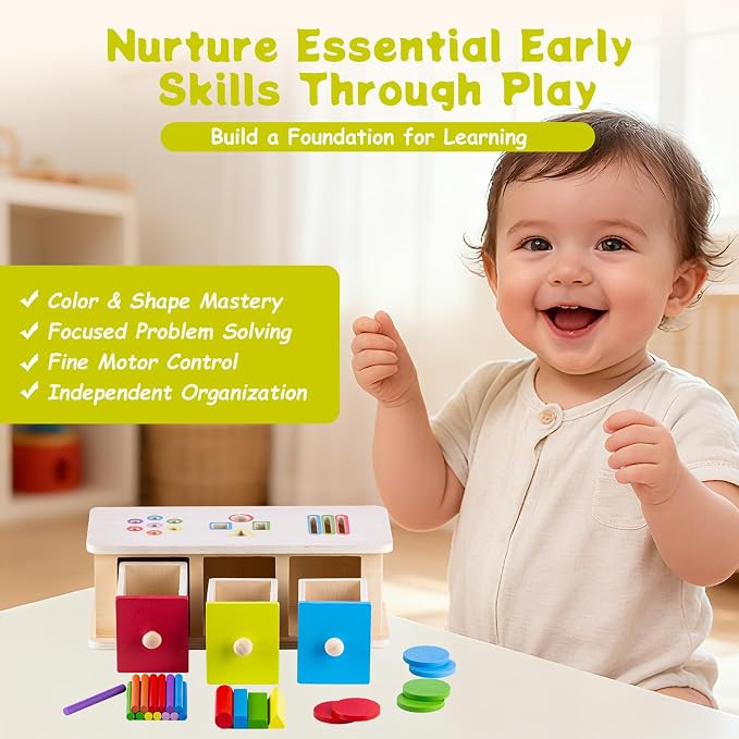 Montessori Toys Wooden Color & Shape Sorter Toys for Toddlers 1-3，Color Matching Toys，Educational Fine Motor Skills Toys, Preschool Learning Educational Toy for 1 2 3 Year Old Boy Girl Kid Gifts