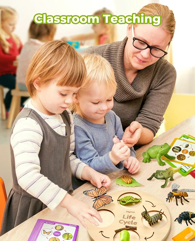 JoyCat Life Cycle Toys for Kids, 7 Animal and Plant Sets with Cards | Explore seven animal and plant life cycles with 37 cards, realistic figures, a double-sided board and storage box