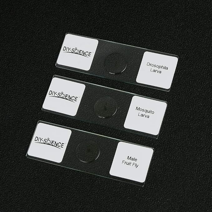 Prepared Whole Insects Microscope Slides Set, 10pcs Specimens for Kids Students Biology Class, Educational Gift (Whole Insects)
