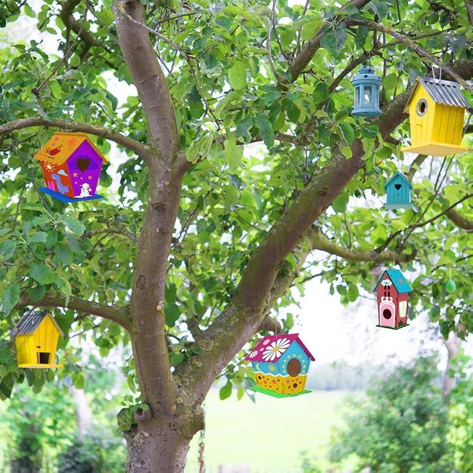 hapray 2 Pack Bird House Kits for Kids, DIY Birdhouse Kit Build and Paint