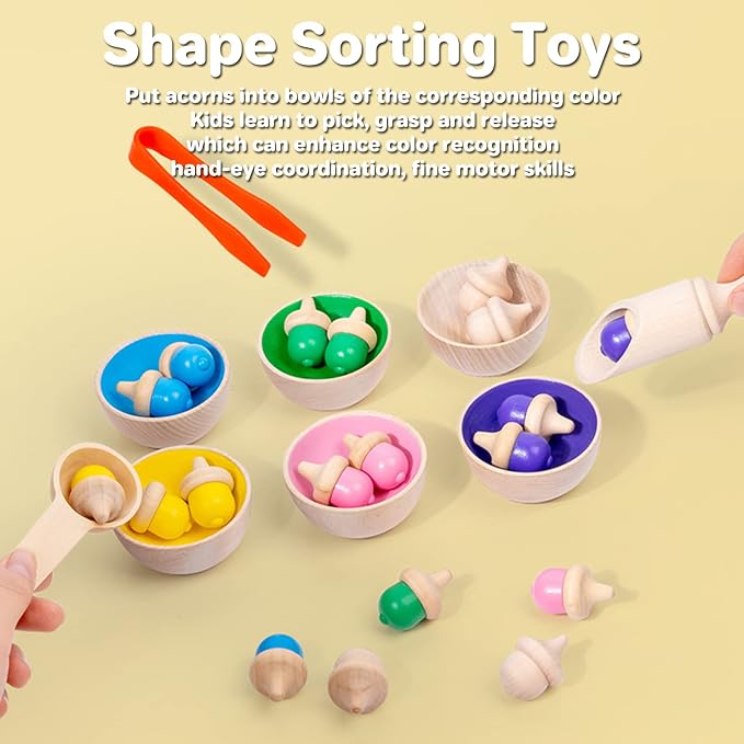 Wooden Color Sorting Toys for Toddlers - Montessori Counting Game with 6 Bowls & 20 Weighted Acorns - DIY Unpainted Pieces - Premium Educational Set with Tweezers, Spoon, Scoop & Bag - Kids 3+