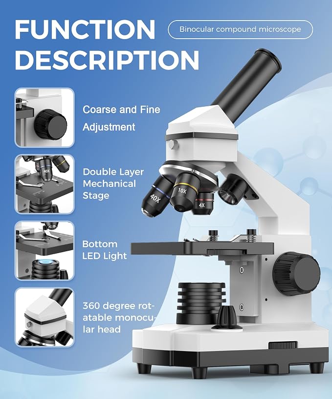 PalliPartners Compound Microscope for Adults & Students, White | 100X-2000X High-Power, Biological Microscope, School Lab & Home Education, with Slides Set & Phone Adapter