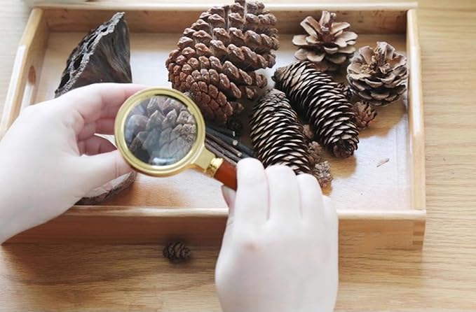 Montessori Nature Exploration Kit, Kids Outdoor Sensory Science Toy