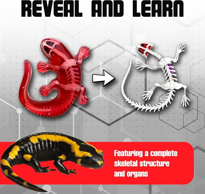 Top Secret Toys Dissect-It Mini Labs Salamander Dissection Kit for Kids, Realistic Synthetic Kids Science Kit - On, Biology and Animal Anatomy, STEM Toy, Ages 6+