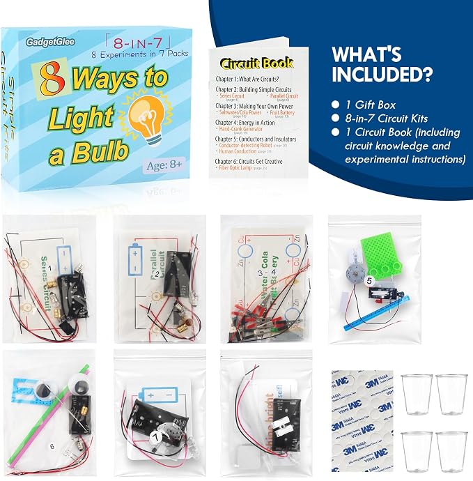 STEM Electric Circuit Kit, Electricity Science Project Light Bulb Experiments for Kids Teens, Electrical Engineering Kits Age 8-12 12-14, Fruit Energy Projects Circuits Experiment