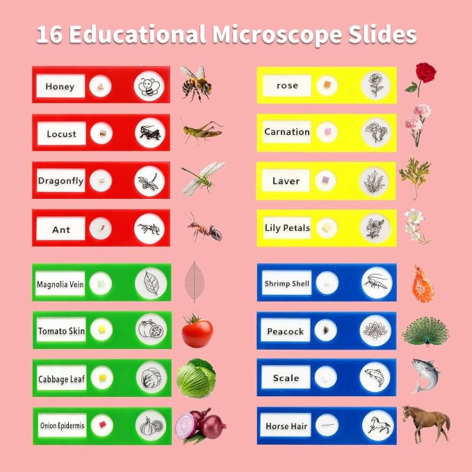 BLACKROOT Microscope for Kids, 2.4" Handheld Digital Pocket Microscope | STEM Educational Science Toys for Christmas Birthday Gifts for 3+ 4 5 6 7 8 9 10 11 12 Year Old Boys Girls, Red