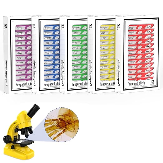 60pcs Microscope Slides with Specimens for Kids – Kids Prepared Stereo Microscope Slides for Stereo Microscope and Other, Animals Insects Plants Flowers Specimens | Prepared Stereo Microscope Slides, Animals, Insects, Plants & Flowers Specimens