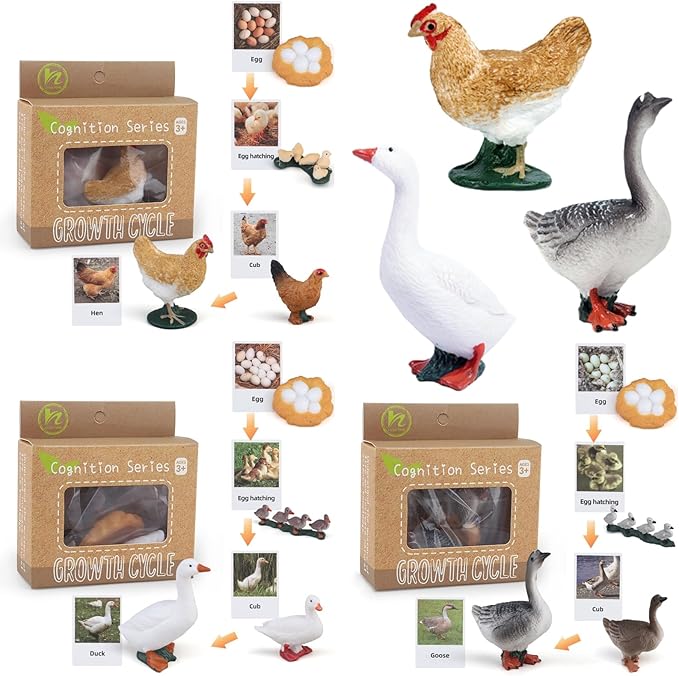 Montessori Life Cycle Animal Figurines Learning & Education Toys, Plastic Insect Life Cycle Toys, Preschool Learning Activities (Hen Goose Duck)