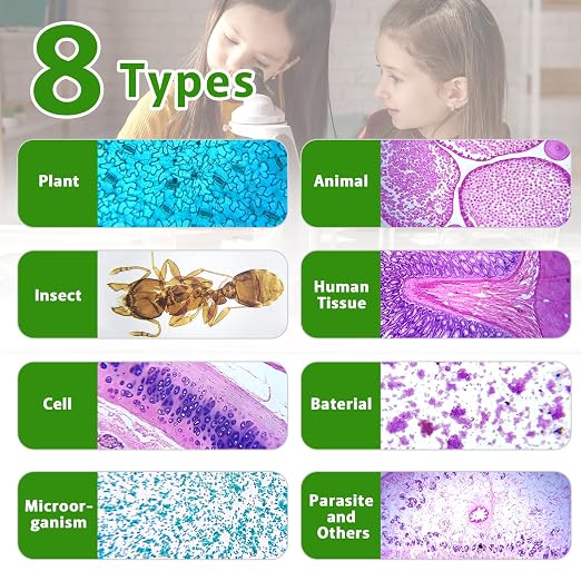 60 Microscope Slides with Specimens,Prepared Microscope Slides for Kids,Glass Slides for Microscope,Prepared Slides for Kids Microscope,Microscope Slide Preparation Kit for Biology Science Classes