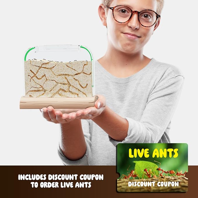 Ant Farm Kit for Kids - Farms Colony - Includes Ants Voucher - Sand Habitat | Bug Terrarium House - Educational Science Gifts for Kid - Nature Learning Toys for Boys, Girls & Adults