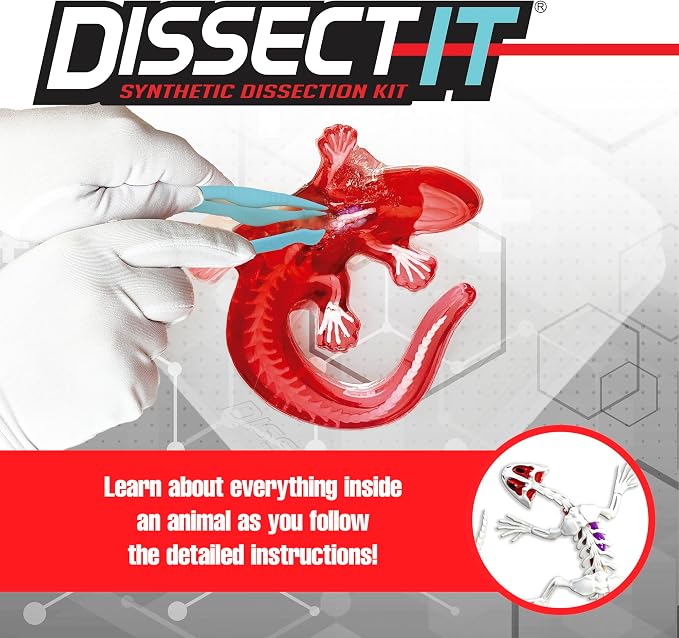 Dissect-It Kit for Kids, Simulated Synthetic Lab Dissection Toy, Salamander STEM Toys for Animal Science, Biology, and Anatomy | Salamander Anatomy, Examine Realistic Organs & Complete Skeleton, Then Rebuild with 2 Gel Refill Packs for STEM Learning