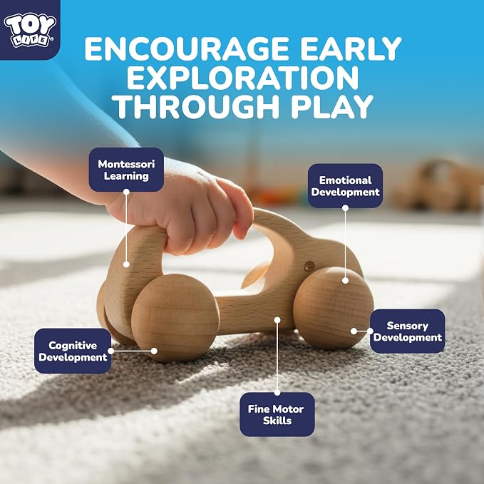 TOY Life Wooden Toys Cars, Montessori Baby Toys 6-12 Months, Wooden Baby Toys Rattle Cars for Toddlers 1-3, Baby Boy Nursery Decor, Montessori Toys for 1 Year Old Boy (6 PCS Rattle Set)