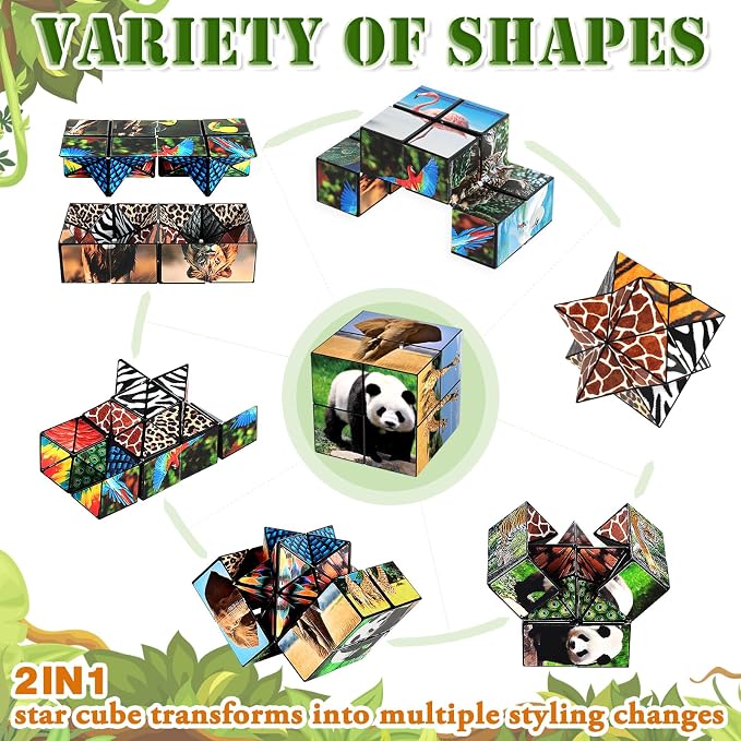 Euclidean Cube Fidget Toys for Kids 2 in 1 Star Cube Magic Cube Puzzle Toys | Fidget Cube for Kids and Adults, Yoshimoto Cube Animal Travel Toy Stress Relief for All Age, Gifts for Boys Girls Ages 8-12