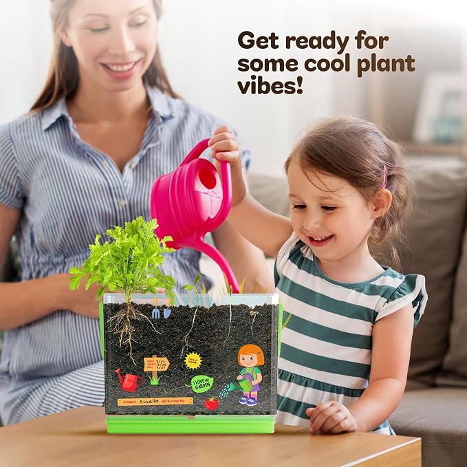 Root Viewer Kit for Kids - Grow Your Own Plant for Boys & Girls Gifts | Birthday Gifts for Boy, Girl 4, 5, 6, 7, 8, Year Old - Science STEM Toy & Craft Growing Kits for Ages 4-8, 6-8 Years
