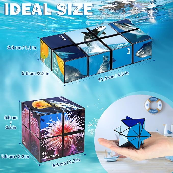 Euclidean Cube Fidget Toys for Kids 2 in 1 Star Cube Magic Cube Puzzle Toys | Fidget Cube for Kids and Adults, Yoshimoto Cube Ocean Travel Toy Stress Relief for All Age, Gifts for Boys Girls Ages 8-12