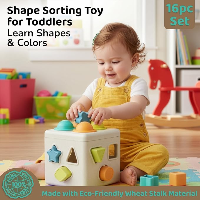 Shape Sorter Color Matching Montessori Toys for Babies & Toddlers, Set of 3 | Baby Shape Sorting Cube, Color Matching Fruit & Cupcake Toy, 18 Months+ Learning Toys, 2025 Model, Eco-Friendly Wheat Straw