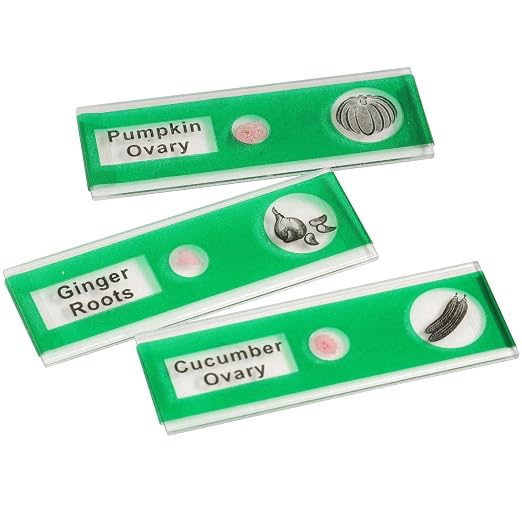 Prepared Microscope Slides for Kids – 12 Plastic Vegetable Specimens with Labels & Images – Safe, Durable Biology Science Kit for Students Ages 8+