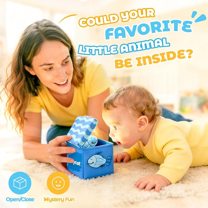 JoyCat Montessori Baby Toys 6-12 Months, 12PCS Sensory Sorting Boxes | Soft boxes with animal, fruit and crayon plush pieces for color sorting, in/out play, textures and little-hand practice