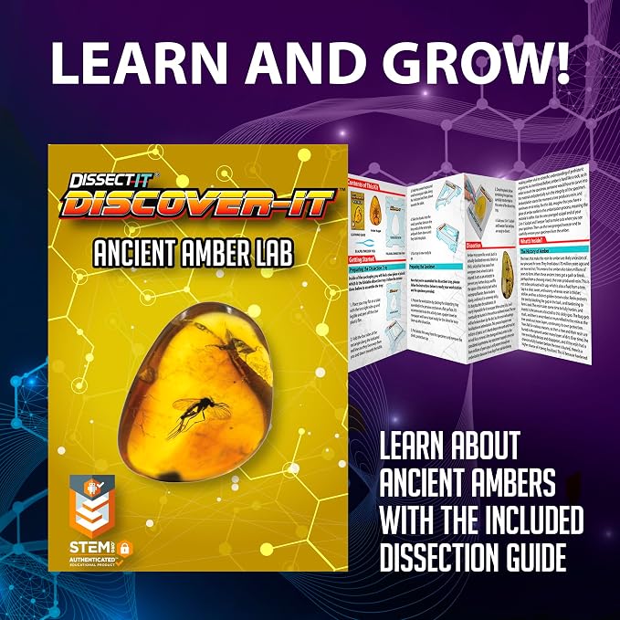 Discover-It Ancient Amber, Science Lab Kit, STEM Toys for Kids, Ages 5+ | Hidden Insect: Open synthetic amber to discover a preserved toy insect while learning about ancient life and STEM