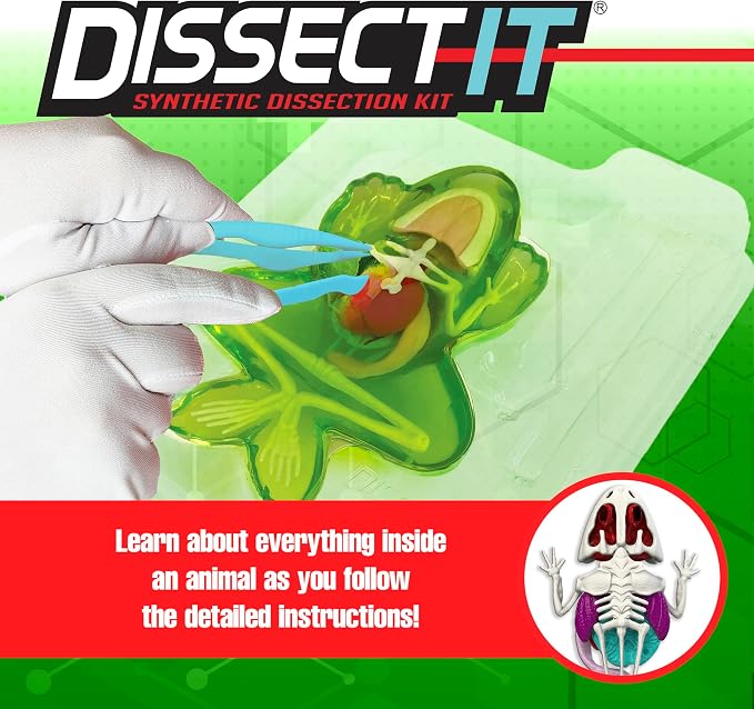 Dissect-It, Standard Frog Dissection Kit, STEM Toys for Kids, Ages 6+ | Animal Anatomy Learning, Explore realistic frog organs and a complete skeleton while building biology and STEM skills.