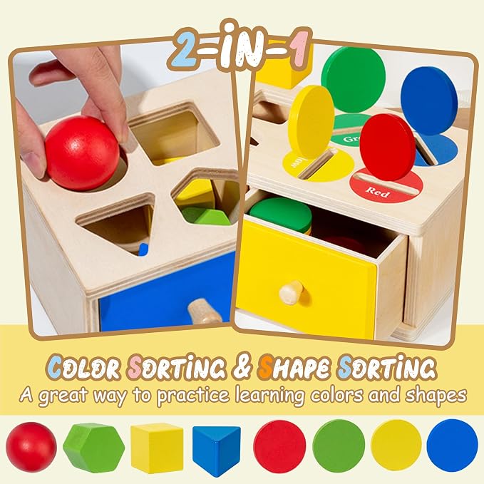 Biottro Wooden Montessori Toys for 3 4 5 Year Old, 2-in-1 Shape Sorter & Coin Drop Box Toy with Drawers Math Counting Color Sorting Game Preschool Educational Sensory Toy Gift for Kids Boys Girls