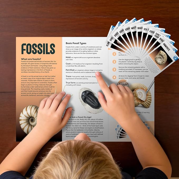 Gamerside Fossil Digging Kit, 12 Real Fossils & Dino Bones & Mess-Free Mat | Includes Learning Guide with Fossils Facts, Excavation Tools, Fun Paleontology Activity, Educational STEM Toys for Kids 6+
