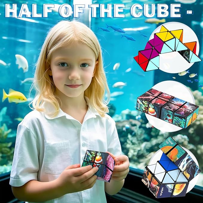 Euclidean Cube Fidget Toys for Kids 2 in 1 Star Cube Magic Cube Puzzle Toys | Fidget Cube for Kids and Adults, Yoshimoto Cube Ocean Travel Toy Stress Relief for All Age, Gifts for Boys Girls Ages 8-12