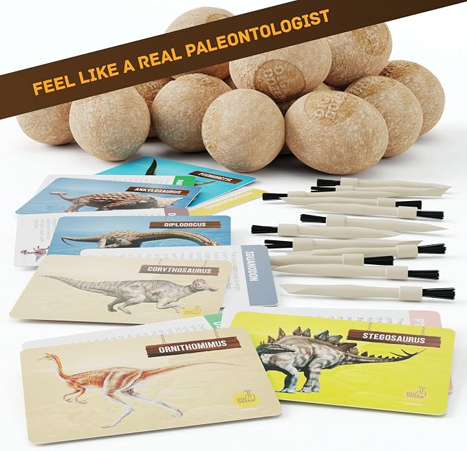 Dig a Dozen Dino Egg Kit for Kids - 12 Eggs & Surprise Dinosaurs | Dinosaur Toys Gift 3-12 Year Old - Science STEM Activities - Boy Toy Party Gifts for Boys & Girls - Basket Stuffers