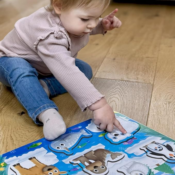 My First Lift & Learn Arctic Puzzle By The Learning Journey