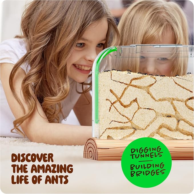 Ant Farm Kit for Kids - Farms Colony - Includes Ants Voucher - Sand Habitat | Bug Terrarium House - Educational Science Gifts for Kid - Nature Learning Toys for Boys, Girls & Adults