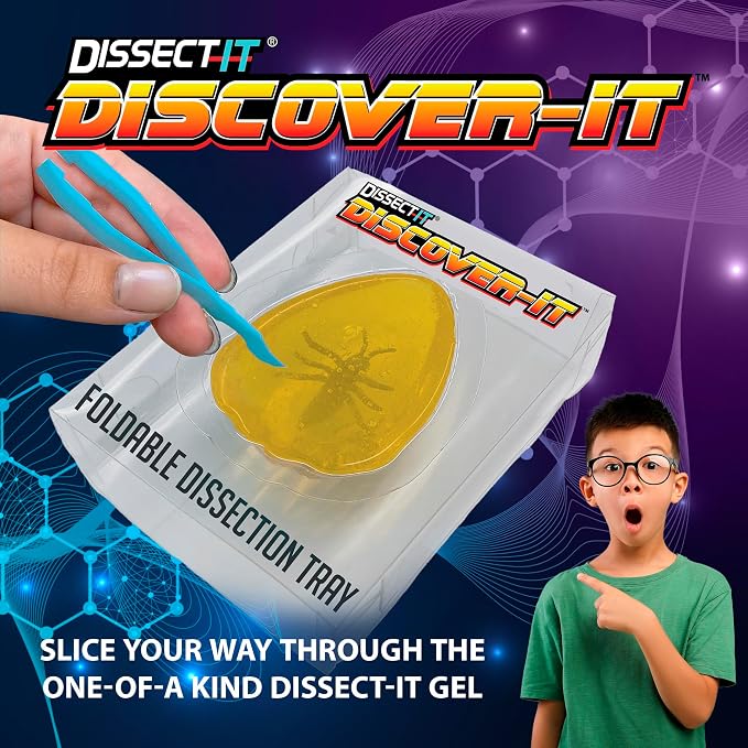 Discover-It Ancient Amber, Science Lab Kit, STEM Toys for Kids, Ages 5+ | Hidden Insect: Open synthetic amber to discover a preserved toy insect while learning about ancient life and STEM