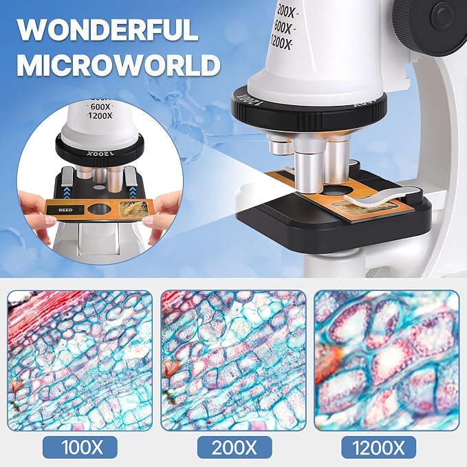 Kids Microscope Kit with Blank and Prepared Slides | 61 PCS Science Kit 100X-1200X with LED Light,Phone Holder, Carrying Box, STEM Project Toy, Educational Gift for Ages 6-12