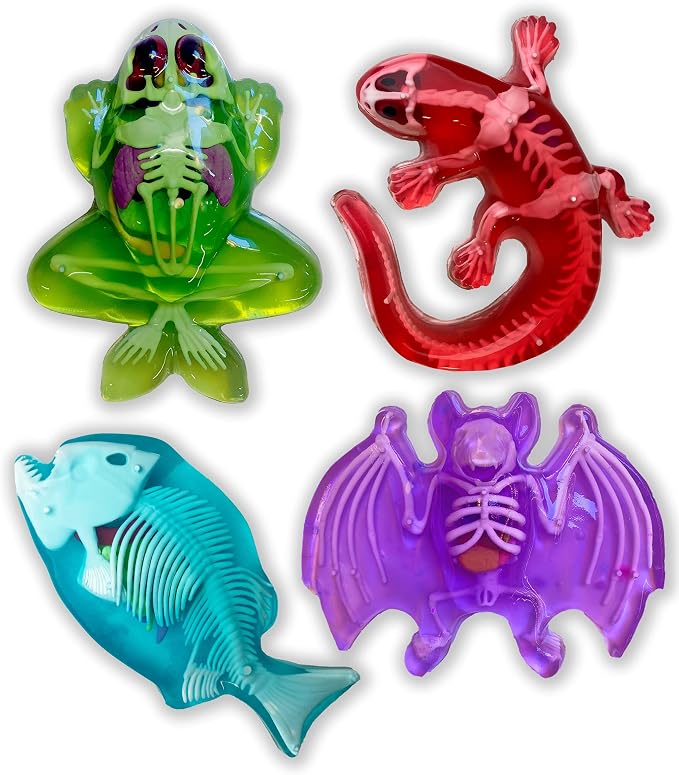 Dissect-It, Variety Animal Dissection Kit, STEM Toys for Kids, Ages 6+ | Multiple Animal Models, Explore Realistic Organs & Complete Skeletons, Then Rebuild with 2 Gel Refill Packs