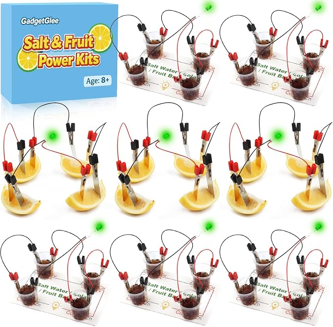 8 Set Science Circuit Kits, STEM Kit Fruit Saltwater Battery Potato Lemon Light Bulb Experiments for Kids 8-12, Circuits for Class Electricity Projects 9 10 11 12 Year Old