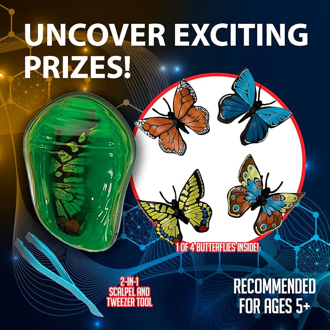 Discover it Butterfly, Science Lab Kit, STEM Toys for Kids, Ages 5+ | Butterfly Life Cycle: Open a synthetic chrysalis to discover butterfly stages while learning about metamorphosis and STEM