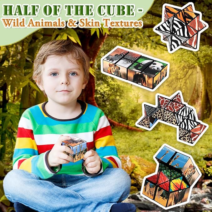 Euclidean Cube Fidget Toys for Kids 2 in 1 Star Cube Magic Cube Puzzle Toys | Fidget Cube for Kids and Adults, Yoshimoto Cube Animal Travel Toy Stress Relief for All Age, Gifts for Boys Girls Ages 8-12