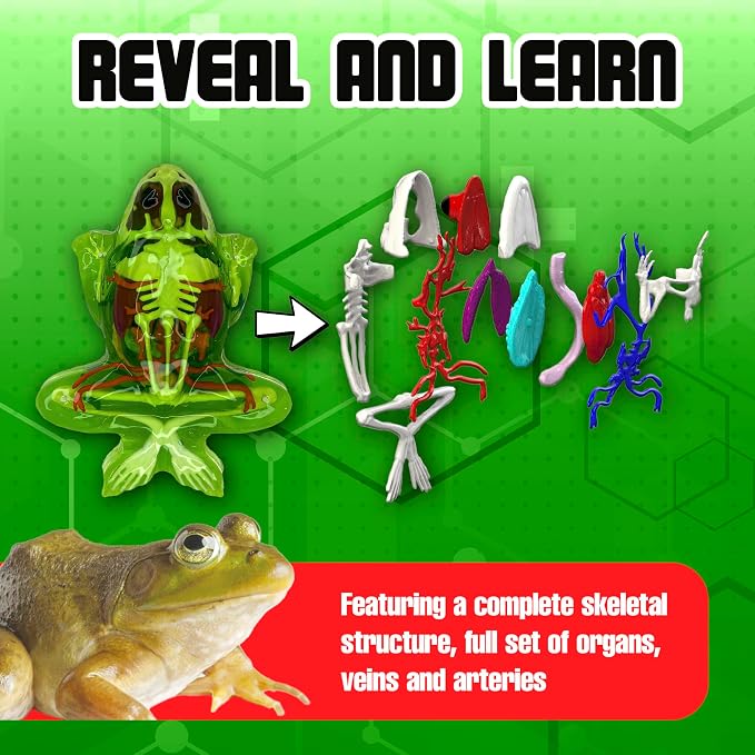 Dissect-It, Deluxe Frog Dissection Kit, STEM Toys for Kids, Ages 6+ | Examine Realistic Frog Organs, Veins, Arteries & Complete Skeleton, Then Rebuild with 2 Included Gel Refill Packs