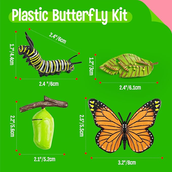 15 Butterfly Life Circle Flashcards with 4 Plastic Figurines, Butterflies Introduction Cards Plastic Insects Egg to Butterfly Kit Toy for Kids, Adults, Animal Lovers