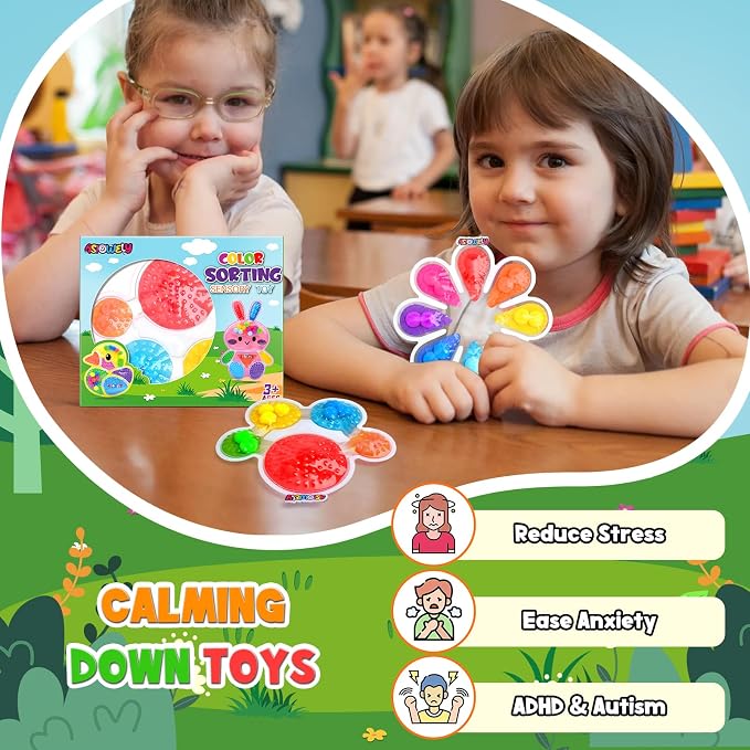2Pcs Color Sorting Sensory Toys for Kids with Autism Toddler Toys for Airplane Travel Road Trip Preschool Montessori Toys Fine Motor Skills B Easter Basket Stuffers Gifts for Kids Boys Girls