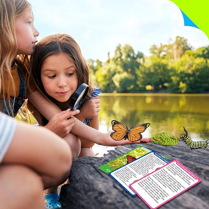 15 Butterfly Life Circle Flashcards with 4 Plastic Figurines, Butterflies Introduction Cards Plastic Insects Egg to Butterfly Kit Toy for Kids, Adults, Animal Lovers