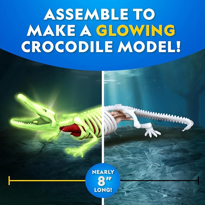 National Geographic Glow in the Dark Crocodile Dissection Lab Kit for Kids | 16 Bones and 6 Organs, Synthetic Crocodile, Refill Pack, Kid-Friendly Dissection Tools, Anatomy Learning, Birthday Gift