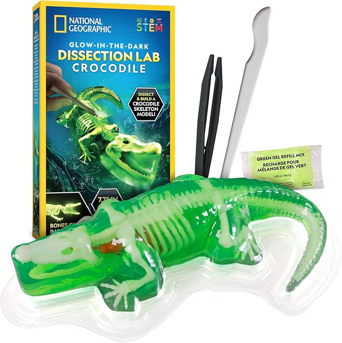 National Geographic Glow in the Dark Crocodile Dissection Lab Kit for Kids | 16 Bones and 6 Organs, Synthetic Crocodile, Refill Pack, Kid-Friendly Dissection Tools, Anatomy Learning, Birthday Gift