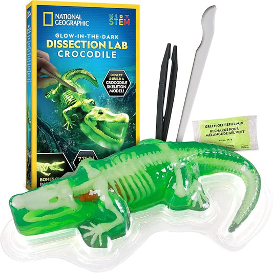 National Geographic Glow in the Dark Crocodile Dissection Lab Kit for Kids | 16 Bones and 6 Organs, Synthetic Crocodile, Refill Pack, Kid-Friendly Dissection Tools, Anatomy Learning, Birthday Gift