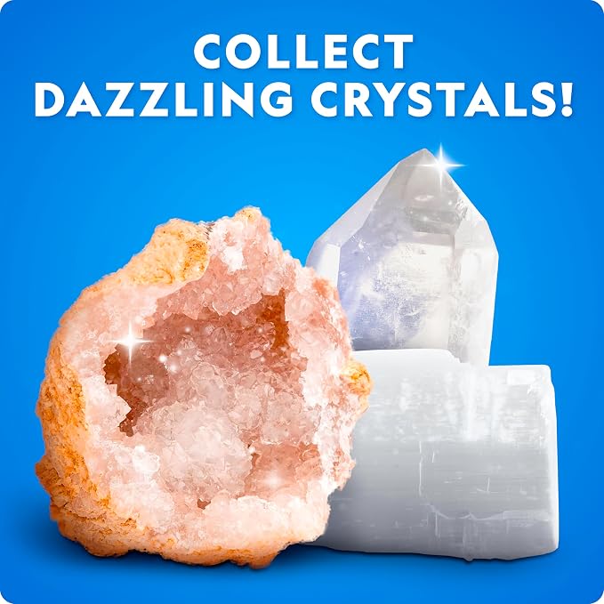 National Geographic Rock Collection Box & Rocks and Minerals Expert Book | Real Gemstones, Crystals & Minerals, Absolute Expert Book, Geology Learning, Rock Collection, Storage Box, Birthday Gift