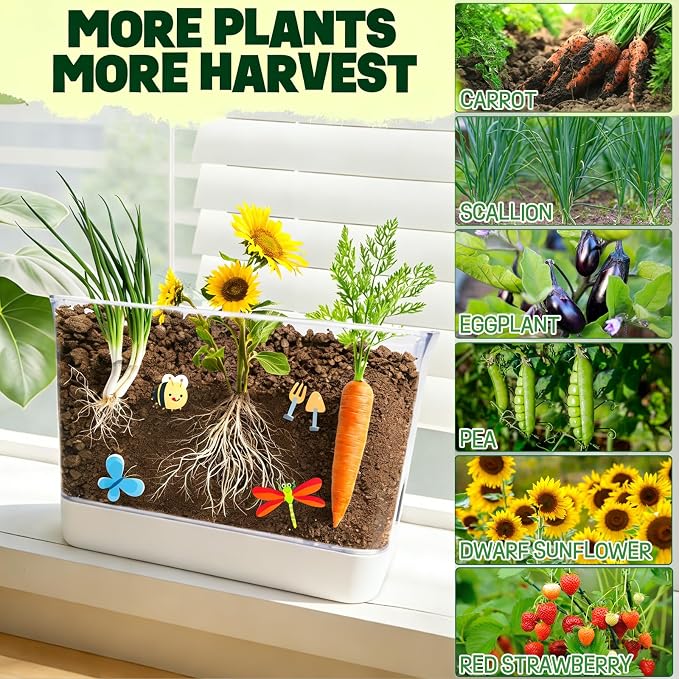 Large Root Viewer Kit for Kids STEM Science Toy Growing Kits for Ages 4, 5, 6, 7, 8, 9,10 Birthday Gifts for Boys Girls, DIY Set, Includes Strawberry, Eggplant, Dwarf Sunflower, Carrot, Pea, Scallion