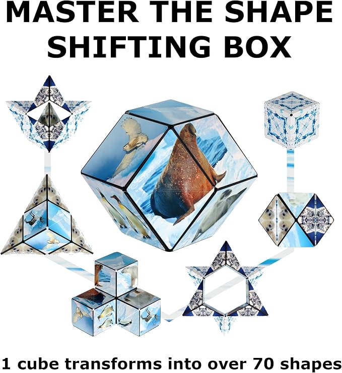 Shashibo DODECA Magnetic Puzzle Cube, Stress Relief Fidget Toy | 100+ Possible Shapes, Sensory Fidget Toy For Adults & Kids, Fun Shape Shifting Puzzle Box For All Ages